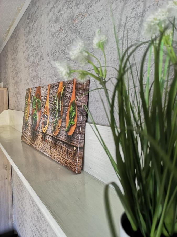 Cozy Flat, Central, Easy Parking, Clam Appartement Bayreuth Buitenkant foto